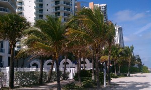 Apartment complex with trees