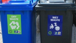 dry and wet waste bins