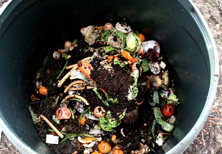 composting, how to, society india