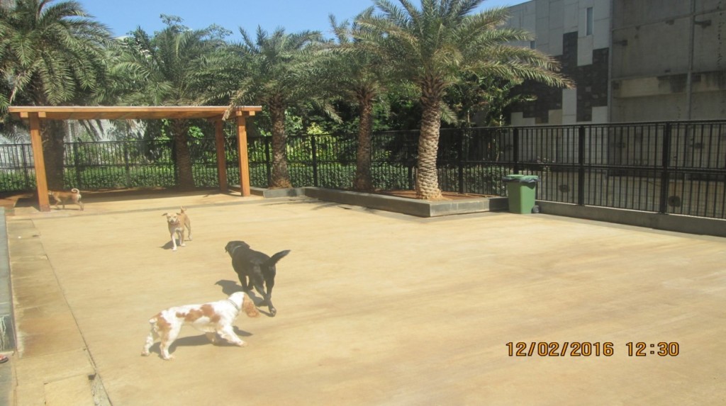 Picture1