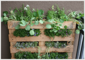 vertical-garden