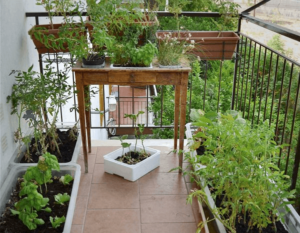 apartment-garden-1