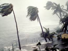 hurricane safety precautions