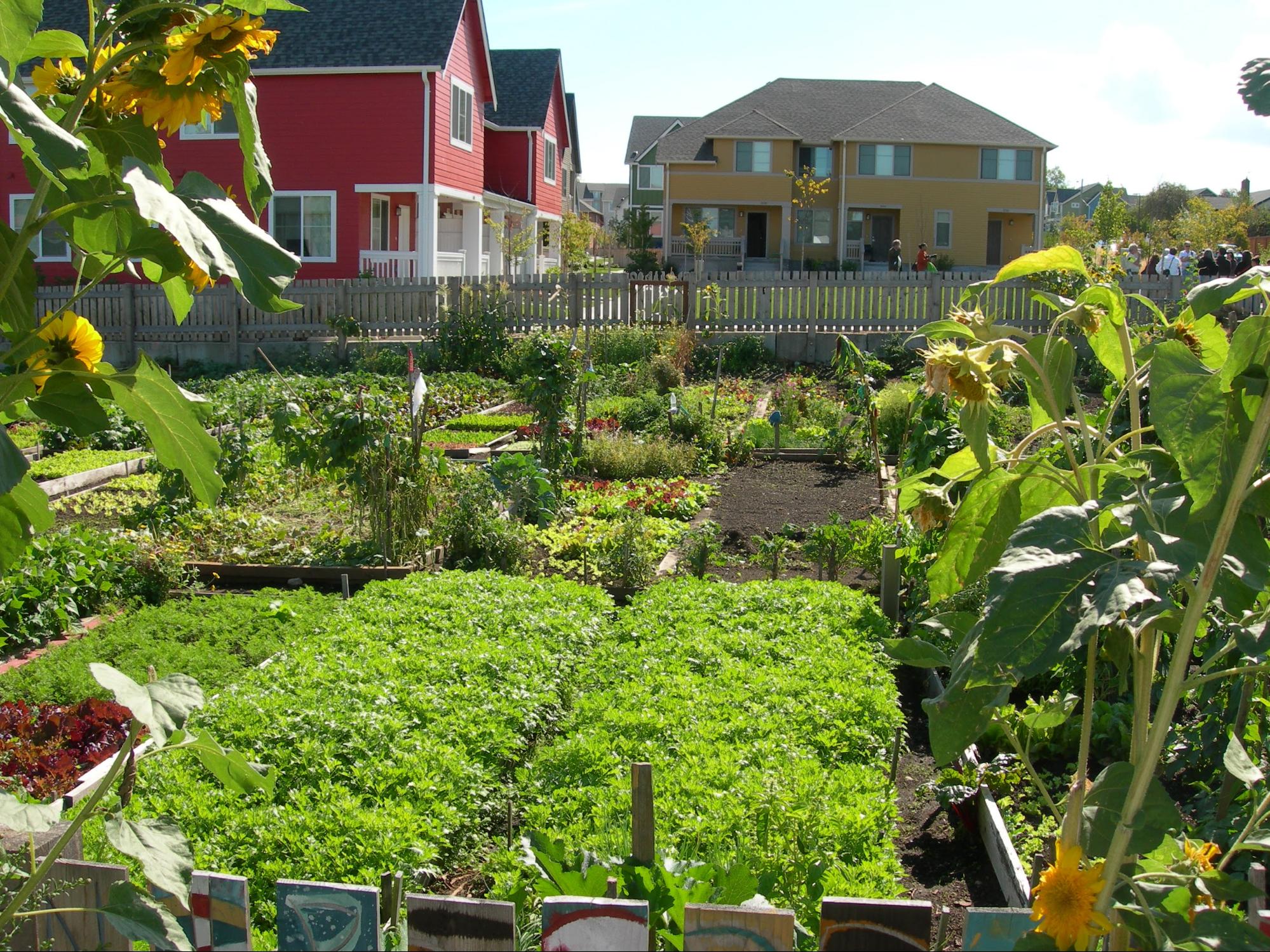 Agrihood - ADDA Blog
