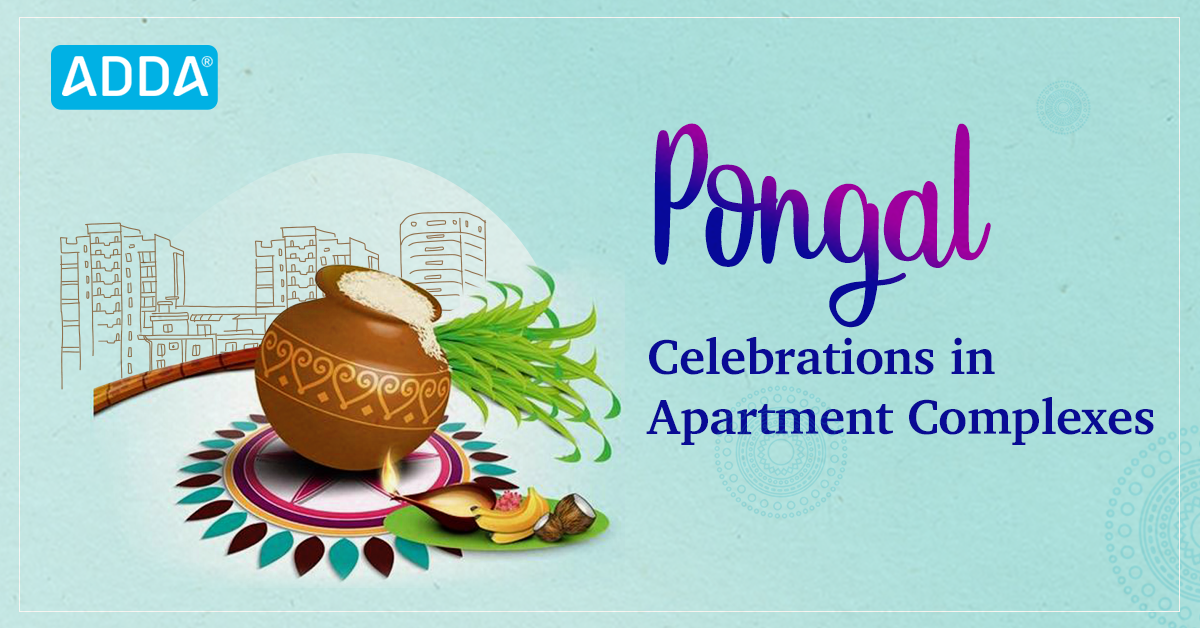 Pongal in Your Apartment Complex: 4 Cool Ways to Celebrate 4 Days