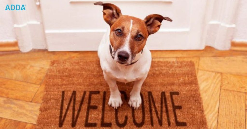 pets in apartments
