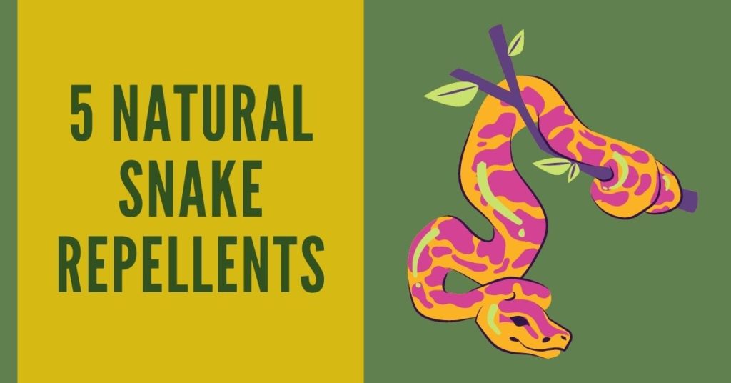 natural snake repellents