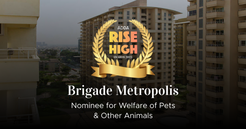 Brigade Metropolis