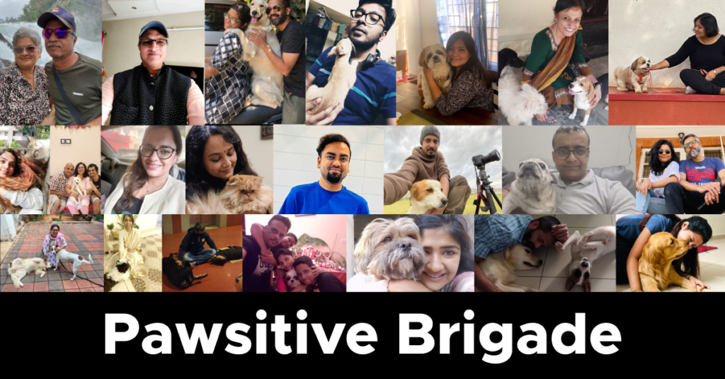 Pawsitive Brigade