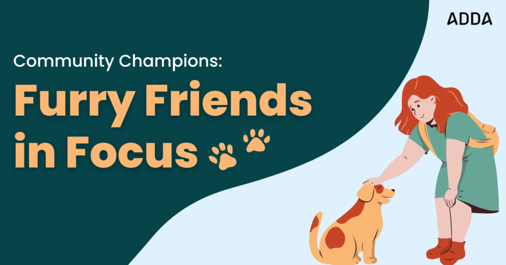 Furry Friends In Focus