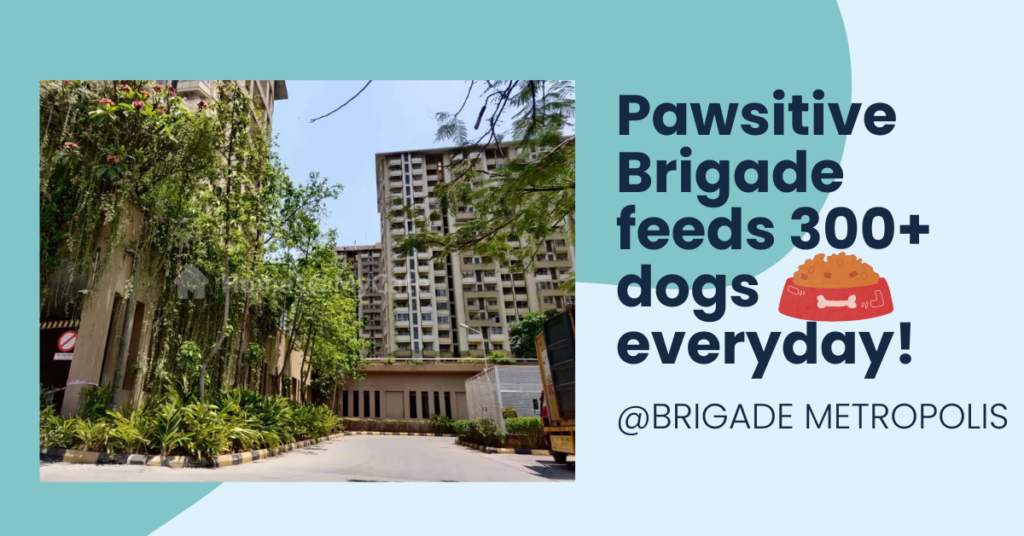 Brigade Metropolis
