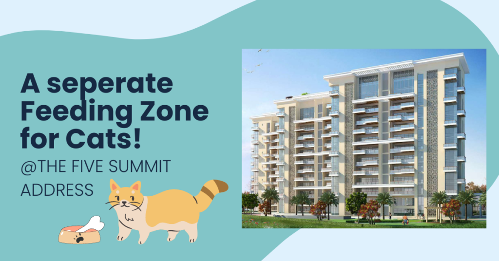 The Five Summit Address